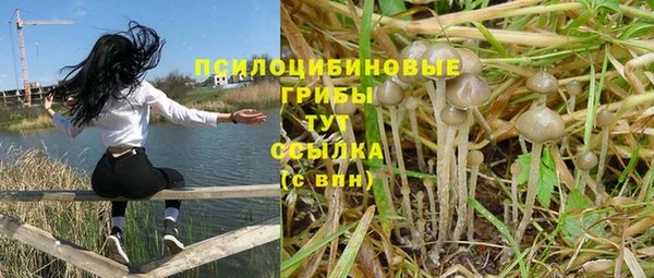 гидра Костерёво