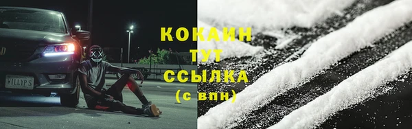 гидра Костерёво