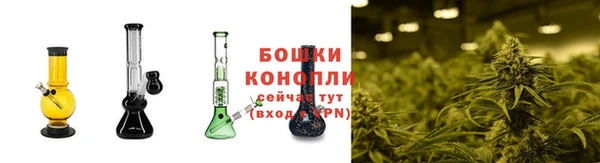 гидра Костерёво